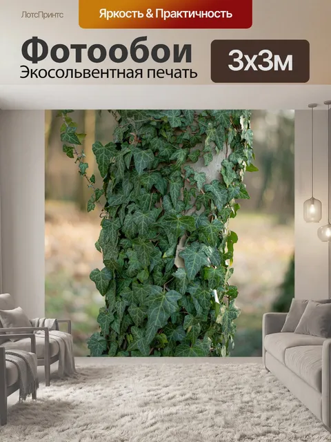 Фотообои Листья