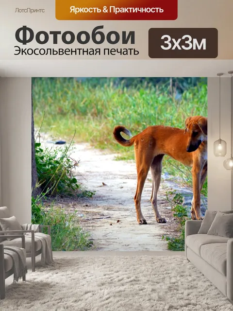Фотообои Собака