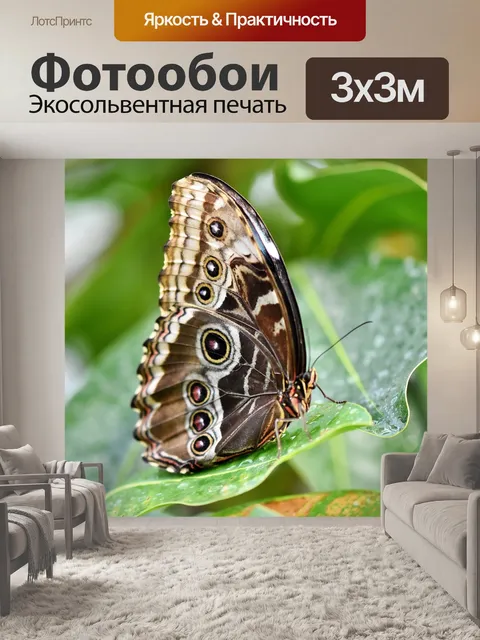Фотообои Бабочка