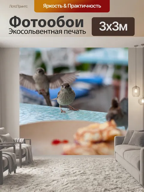 Фотообои Воробей