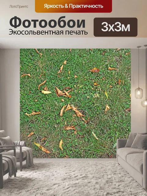 Фотообои Травы и сухие листья