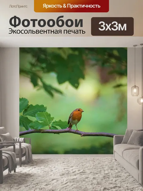 Фотообои Робин