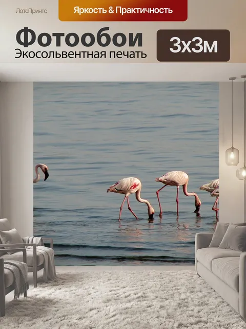 Фотообои Фламинго