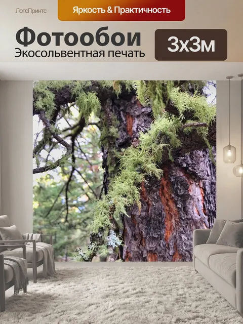 Фотообои Мох