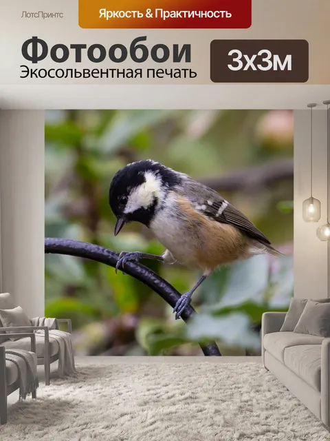 Фотообои Птица