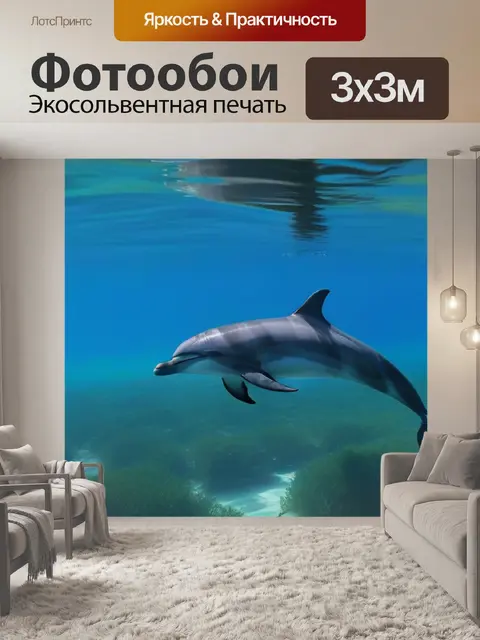 Фотообои мелководье с дельфинами, исследующими водоросли у пляжа