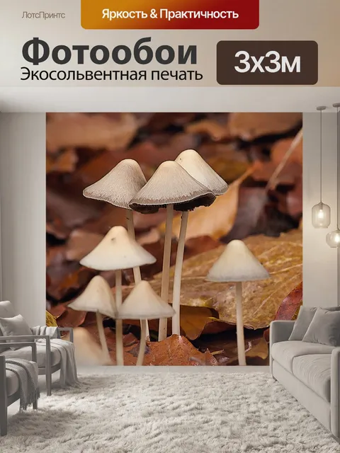 Фотообои Лес
