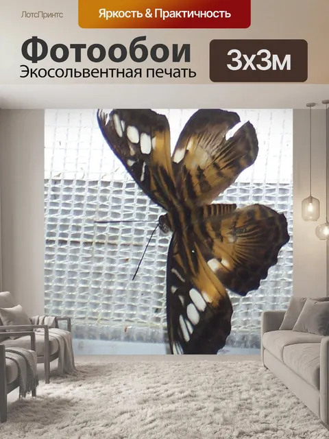 Фотообои Красивые карие Butterfly