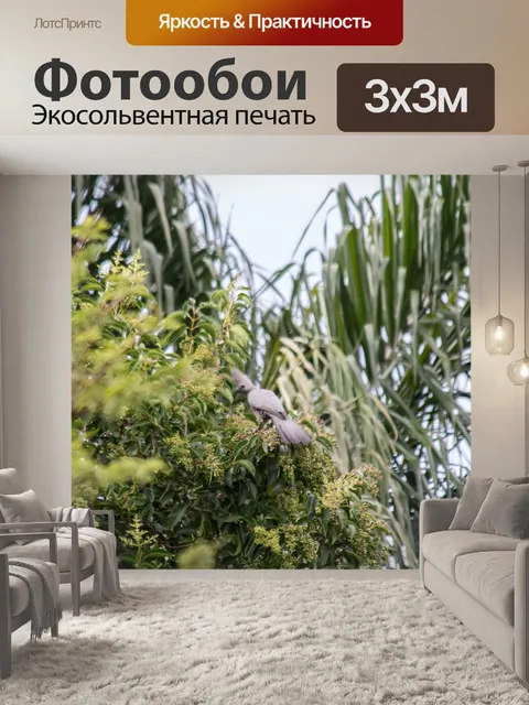 Фотообои Птица