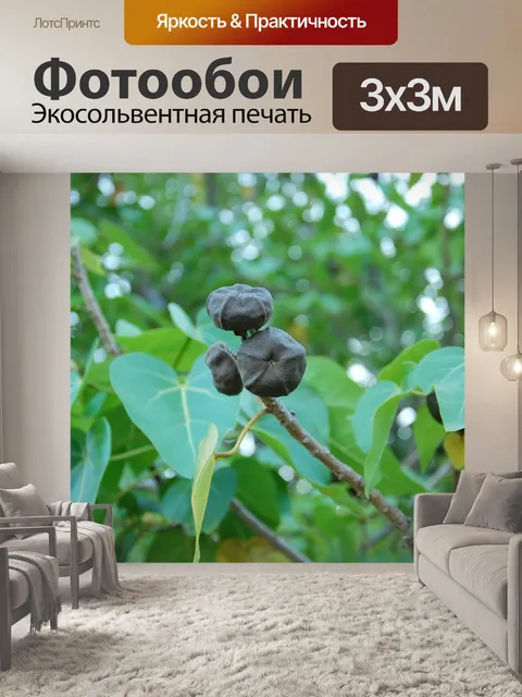 Фотообои Листья