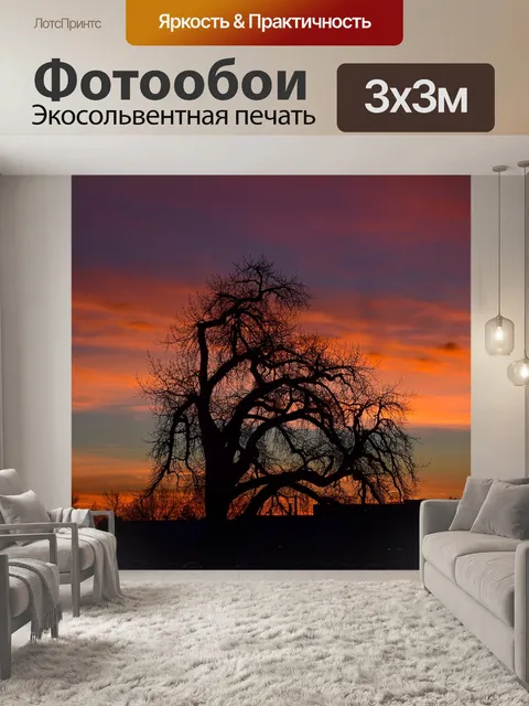 Фотообои Природа