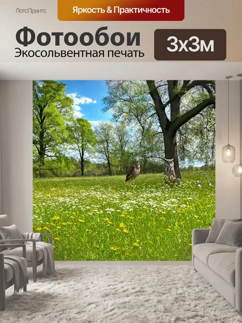 Фотообои поляна в солнечный день