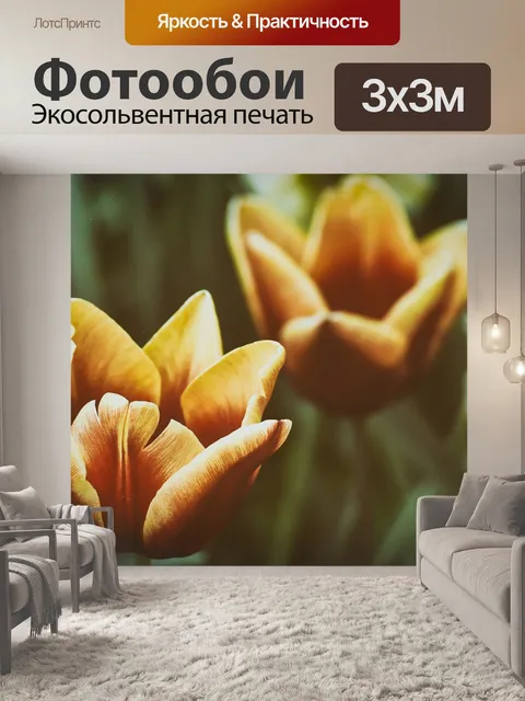 Фотообои Тюльпаны