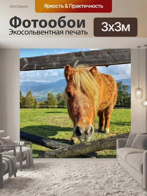 Фотообои Лошадь