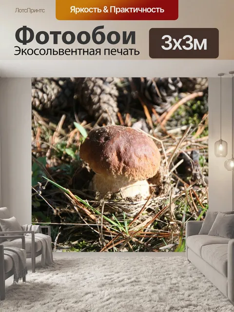Фотообои Гриб