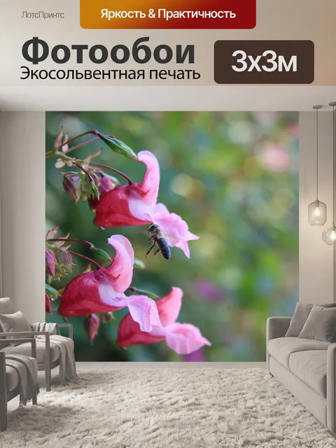 Фотообои Расцветает