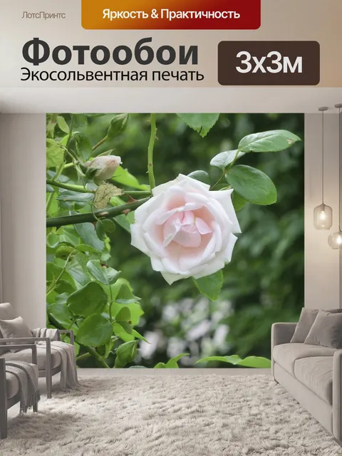 Фотообои Роза