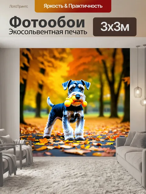 Фотообои цвергшнауцер с игрушкой в зубах, стоящий на фоне осеннего парка, окруженного падающими листьями