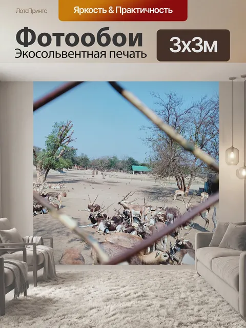 Фотообои Матхура