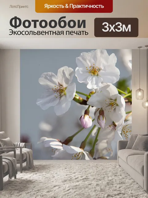 Фотообои Цветы