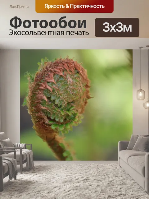 Фотообои Папоротник