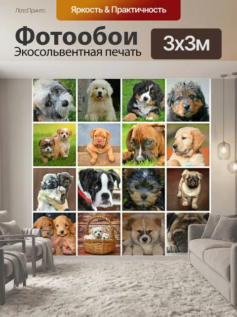 Фотообои Коллаж