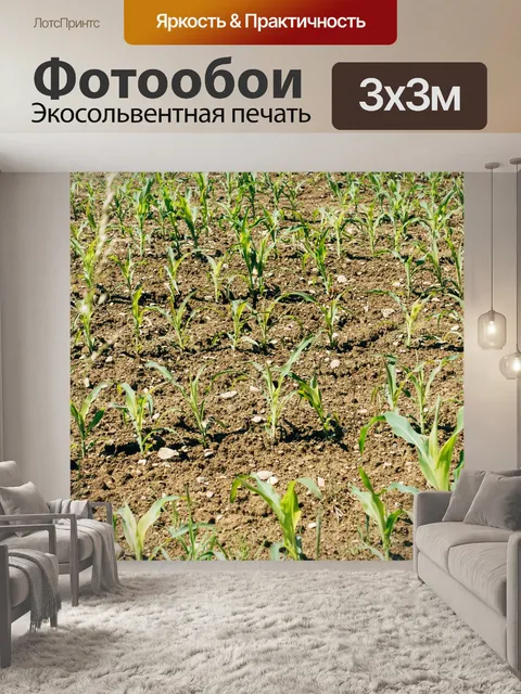 Фотообои Завод