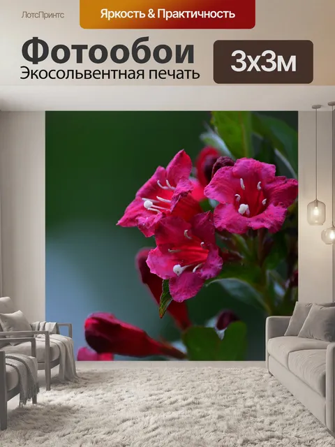 Фотообои Цветы