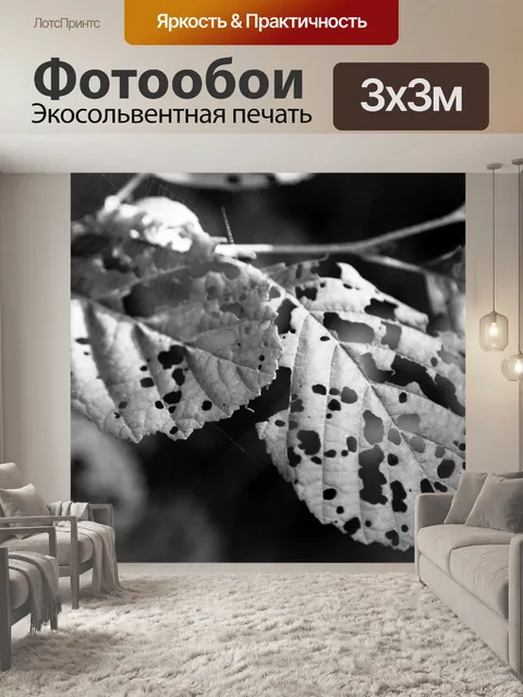 Фотообои лист
