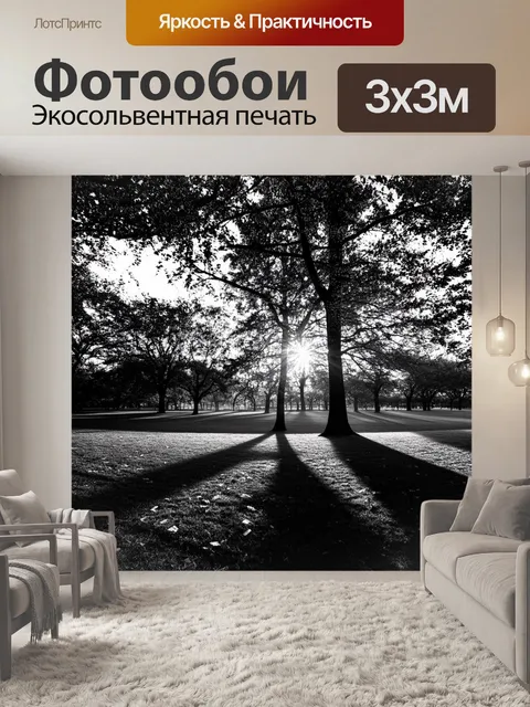 Фотообои осенний парк на закате с длинными тенями от деревьев, и листьями, падающими по ветру