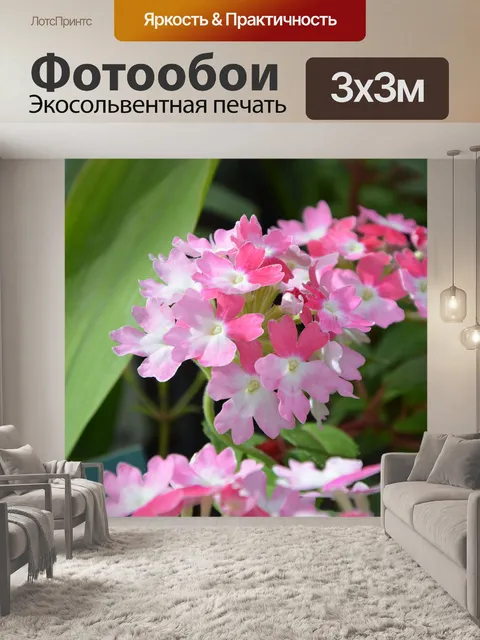 Фотообои Цветы