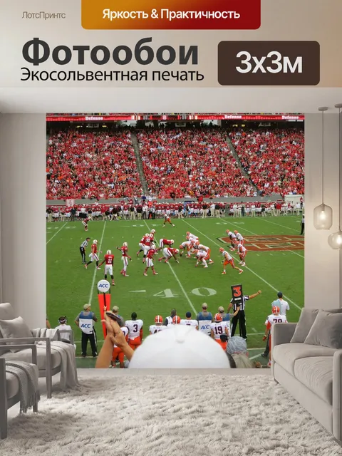 Фотообои Футбол