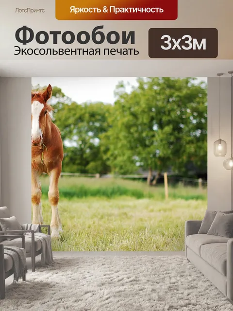 Фотообои Лошадь