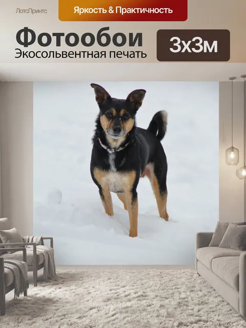 Фотообои Зима