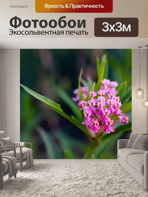 Фотообои Молочая