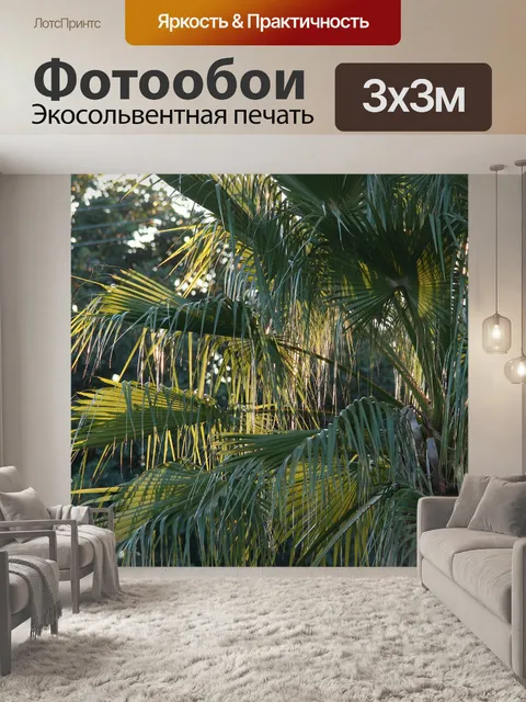Фотообои ладонь с солнечного света