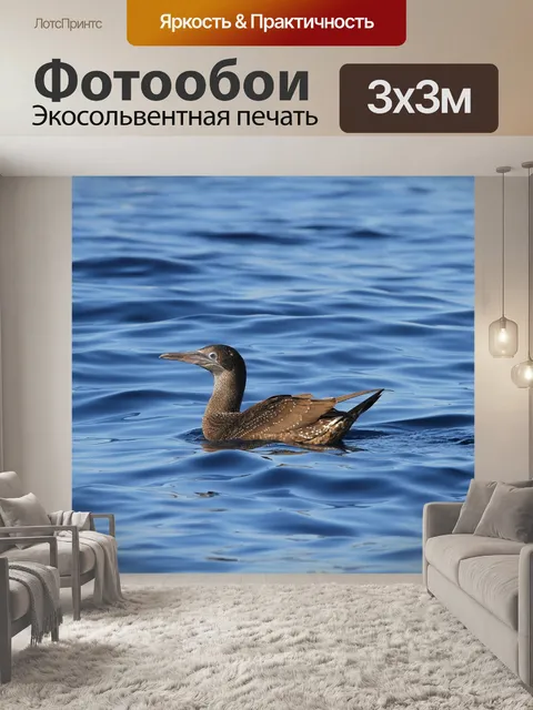 Фотообои Водоем