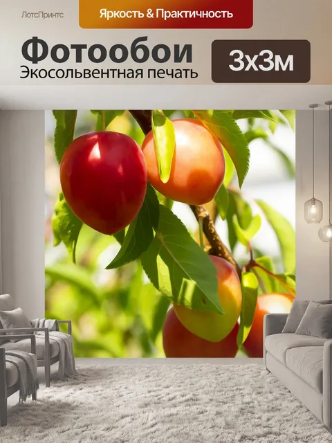 Фотообои Фрукты