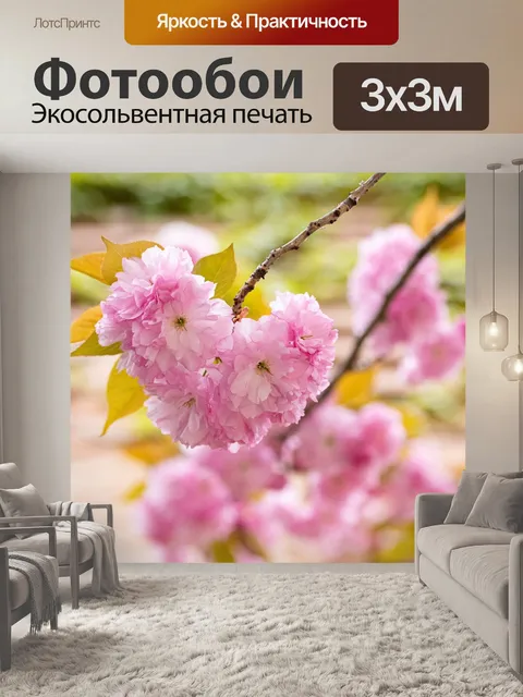 Фотообои Цветение вишни