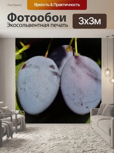 Фотообои Слива