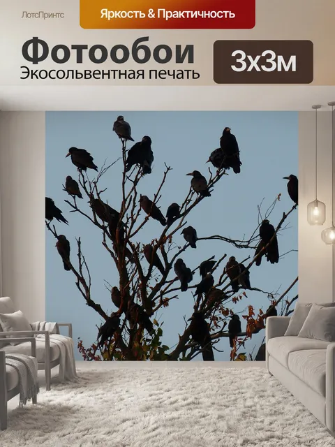 Фотообои Птицы