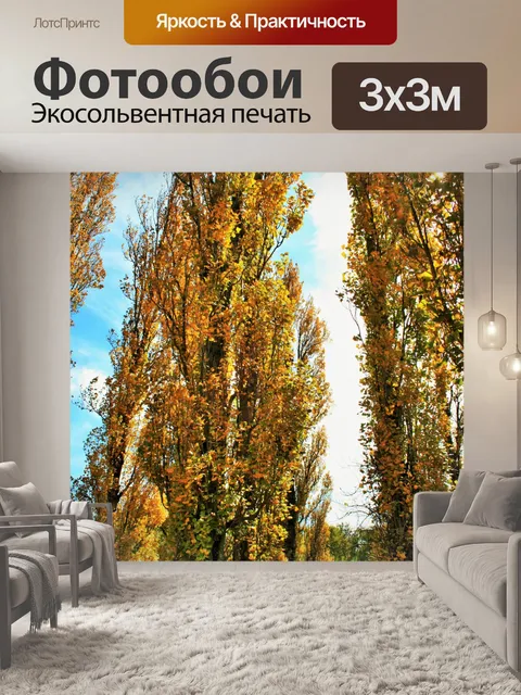 Фотообои желтые тополя