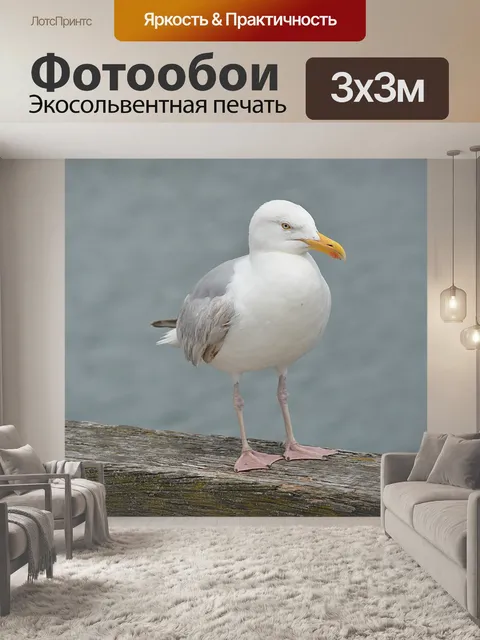 Фотообои Птица