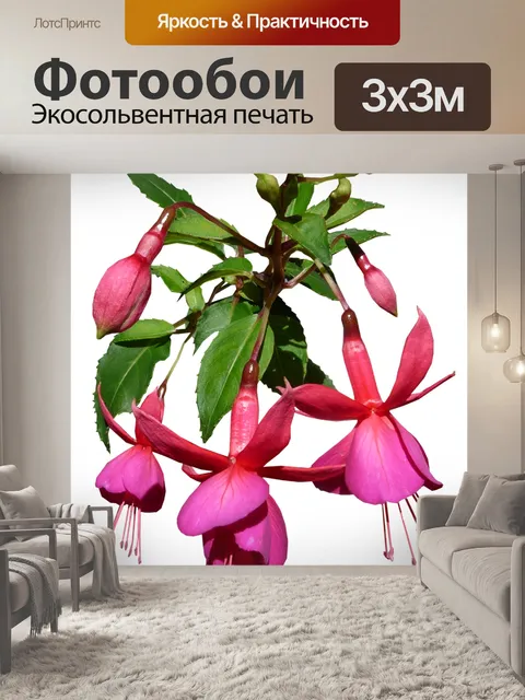 Фотообои Цветок