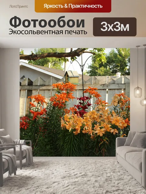 Фотообои Цветы лилии Цвет Bird House
