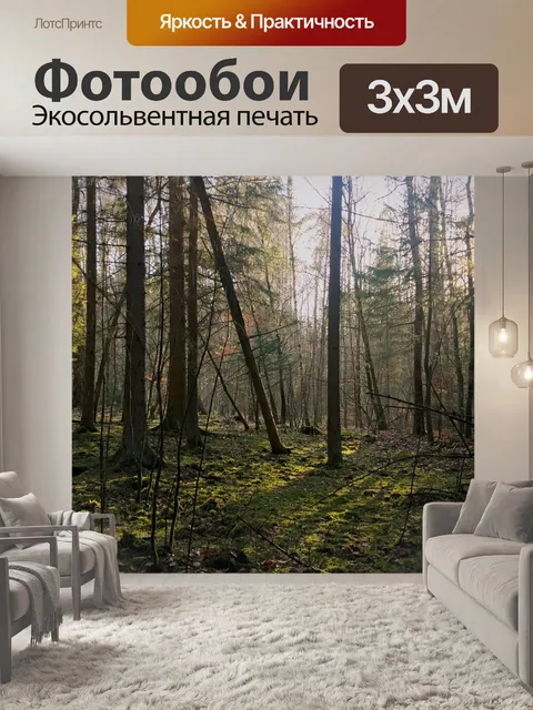Фотообои Лес