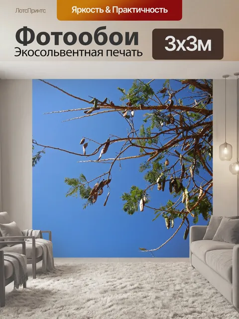 Фотообои дерево с солнечным светом на ветвях