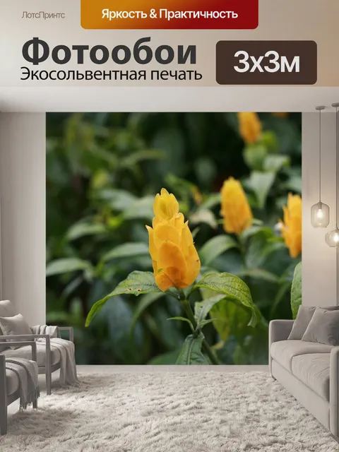 Фотообои Золотая свеча