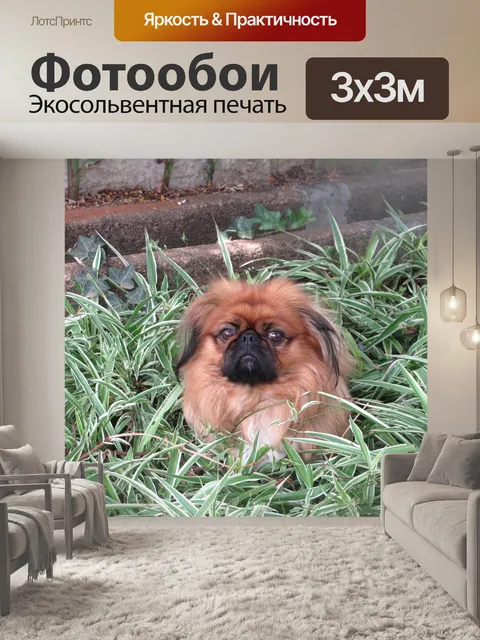 Фотообои Сад