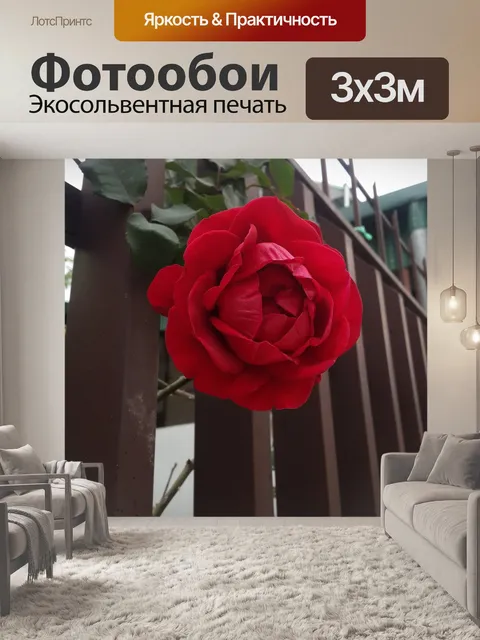 Фотообои Роза